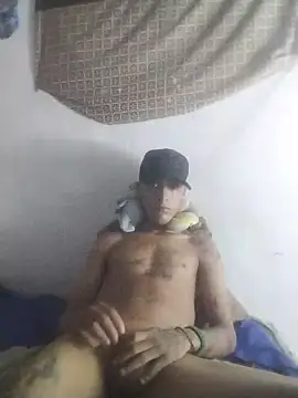 jise6373 online show from 8, 1, 2026