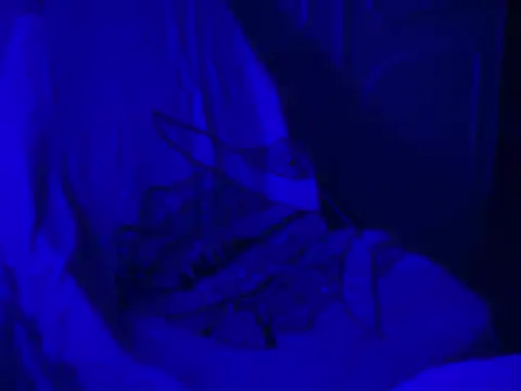 Snapshot of WarmSound chatting on 17, 1, 2026 WarmSound online show from 17, 1, 2026