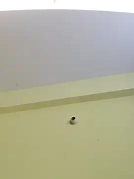 trinasa online show from 8, 4, 2026