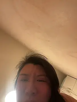 wy2026 online show from 11, 2, 2026