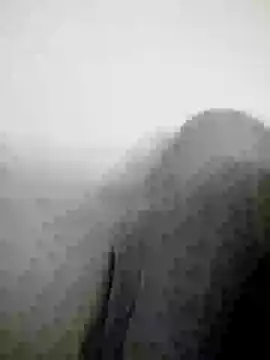 Scook Gray  online show from 8, 4, 2026