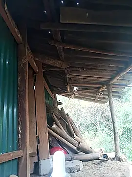 Snapshot of feli-00 chatting on 10, 1, 2026 feli-00 online show from 10, 1, 2026