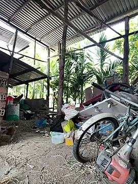 Ginny 2x online show from 18, 1, 2026