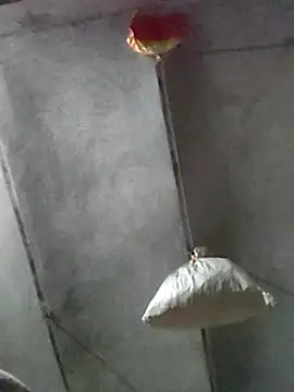 kulwantj online show from 18, 1, 2026