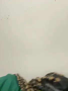 Snapshot of diosa_sofia19 chatting on 6, 4, 2026 diosa sofia19 online show from 6, 4, 2026