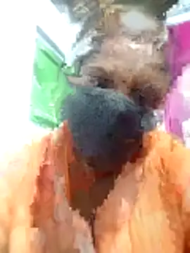 tamilvenila online show from 15, 1, 2026