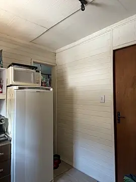 dogfrota online show from 6, 3, 2026