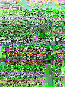Snapshot of DouDou-- chatting on 23, 6, 2026 DouDou-- online show from 23, 6, 2026
