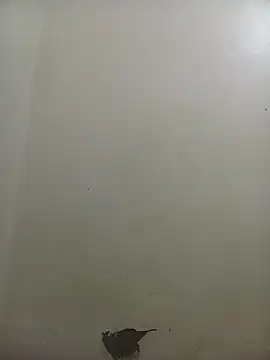 Snapshot of PatriciaVen chatting on 10, 2, 2026 PatriciaVen online show from 10, 2, 2026