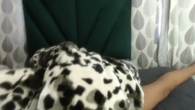 Nellybba online show from 27, 3, 2026