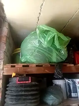 dicklife3485 online show from 31, 3, 2026