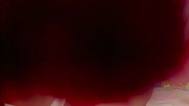 Snapshot of sweet__luna__ chatting on 21, 2, 2026 sweet luna online show from 21, 2, 2026