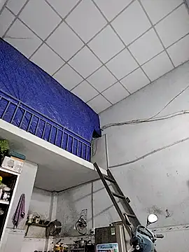 Famrita online show from 19, 1, 2026