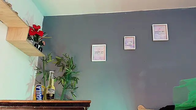 sofia laverde online show from 17, 3, 2026