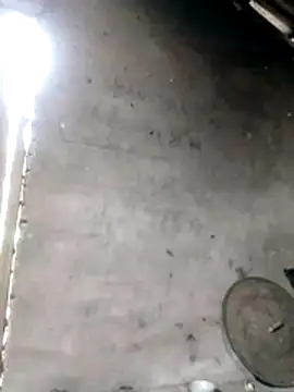 Gummiesu online show from 3, 2, 2026