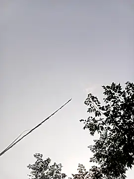 Snapshot of LISAA-6969 chatting on 15, 4, 2026 LISAA-6969 online show from 15, 4, 2026