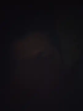 Pravin9562 online show from 4, 3, 2026