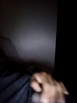 CorrectMusic2 online show from 11, 2, 2026