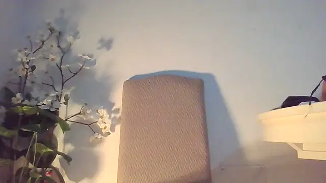 Snapshot of Dolcezzastella chatting on 1, 3, 2026 Dolcezzastella online show from 1, 3, 2026