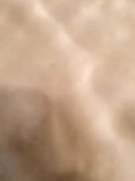 Snapshot of testmailx75 chatting on 23, 2, 2026 testmailx75 online show from 23, 2, 2026