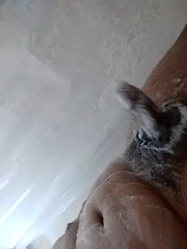 daringprince online show from 17, 1, 2026