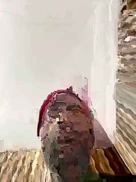 hardlysuck online show from 4, 2, 2026