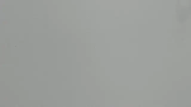 Ashley Ebony   online show from 18, 2, 2026