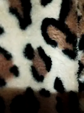 dilduarte26 online show from 25, 7, 2026