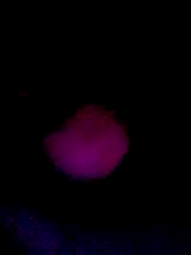 061190 online show from 22, 3, 2026