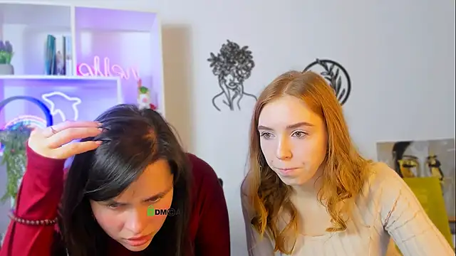 stella flower online show from 13, 2, 2026