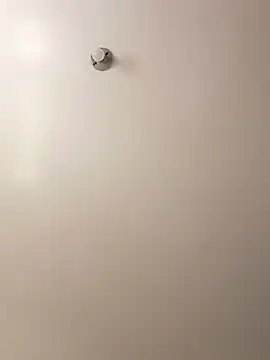 Cati cat3 online show from 7, 2, 2026