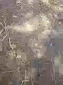 Cute Boy 4 online show from 14, 3, 2026