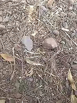 Cute Boy 4 online show from 19, 3, 2026