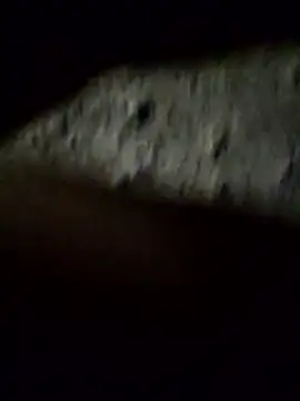 crazyxy12 online show from 8, 2, 2026