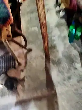 crazyxy12 online show from 4, 3, 2026