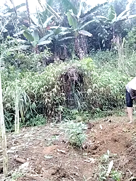 Tina-beo online show from 18, 4, 2026