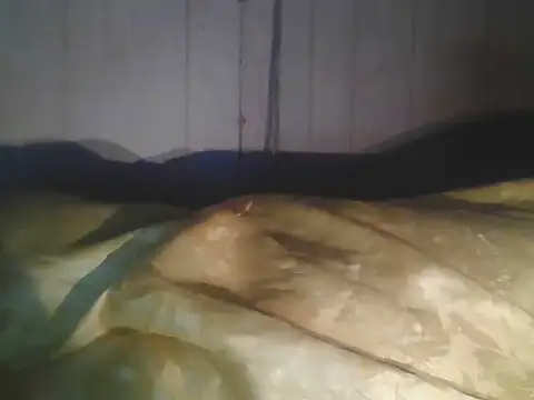 Prikev38452 online show from 11, 4, 2026