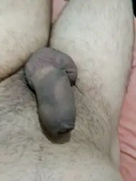 putopau15 online show from 2, 4, 2026