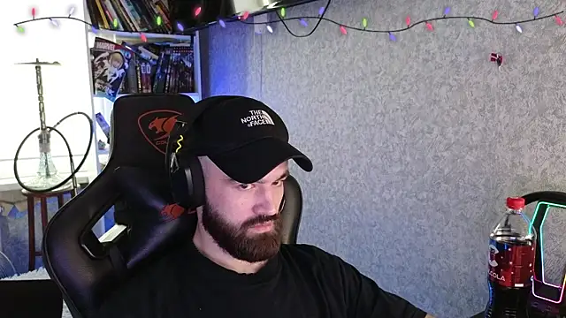  Mostly  online show from 16, 2, 2026