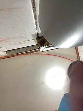 Babypalomi online show from 8, 2, 2026