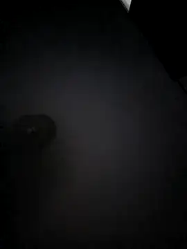 franc 300 online show from 16, 4, 2026