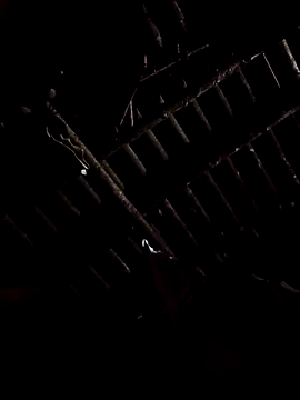 Snapshot of alex_callmemaybe69 chatting on 9, 2, 2026 alex callmemaybe69 online show from 9, 2, 2026