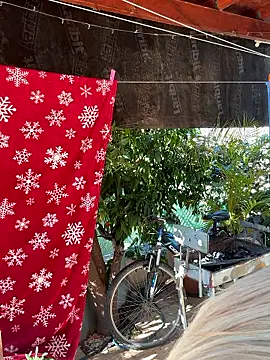 Ellie-rosee online show from 2, 3, 2026