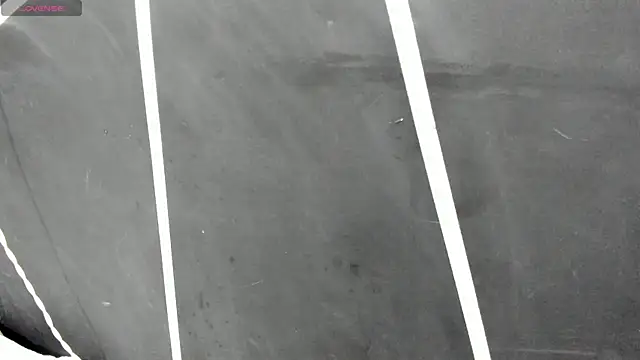 shaden  online show from 17, 4, 2026