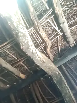 Manu mehta online show from 31, 3, 2026