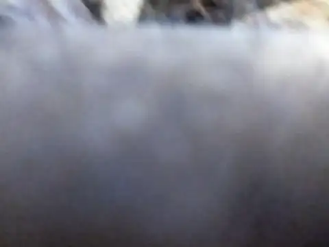 Snapshot of Joecool1009 chatting on 3, 2, 2026 Joecool1009 online show from 3, 2, 2026