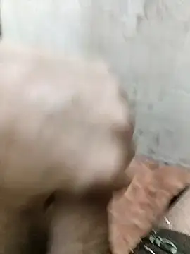 basyo2 online show from 11, 4, 2026