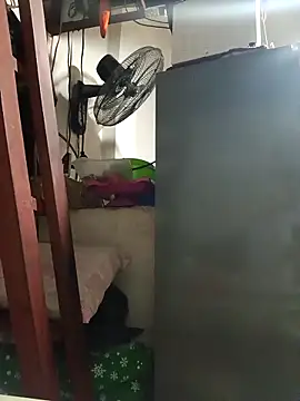 Snapshot of Wildcam21 chatting on 19, 2, 2026 Wildcam21 online show from 19, 2, 2026