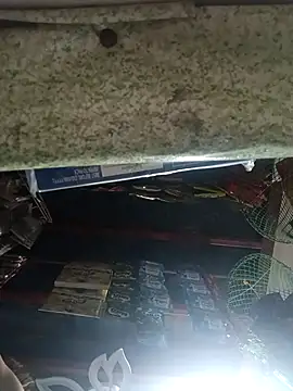 Snapshot of Wildcam21 chatting on 17, 3, 2026 Wildcam21 online show from 17, 3, 2026