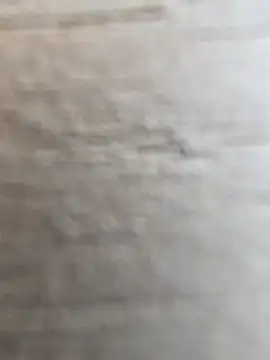 Snapshot of manish_8826 chatting on 12, 2, 2026 manish 8826 online show from 12, 2, 2026